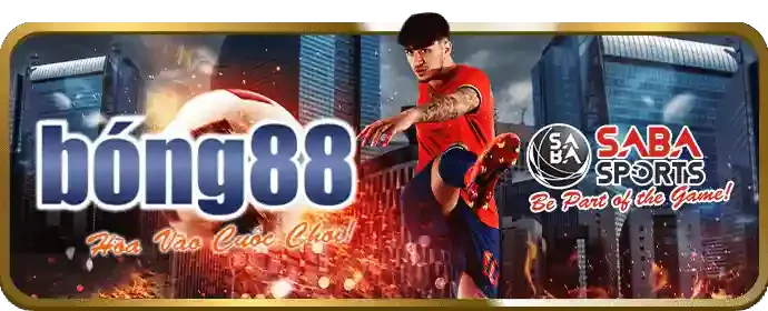 Chương trình VIP gk8888 nhà cái